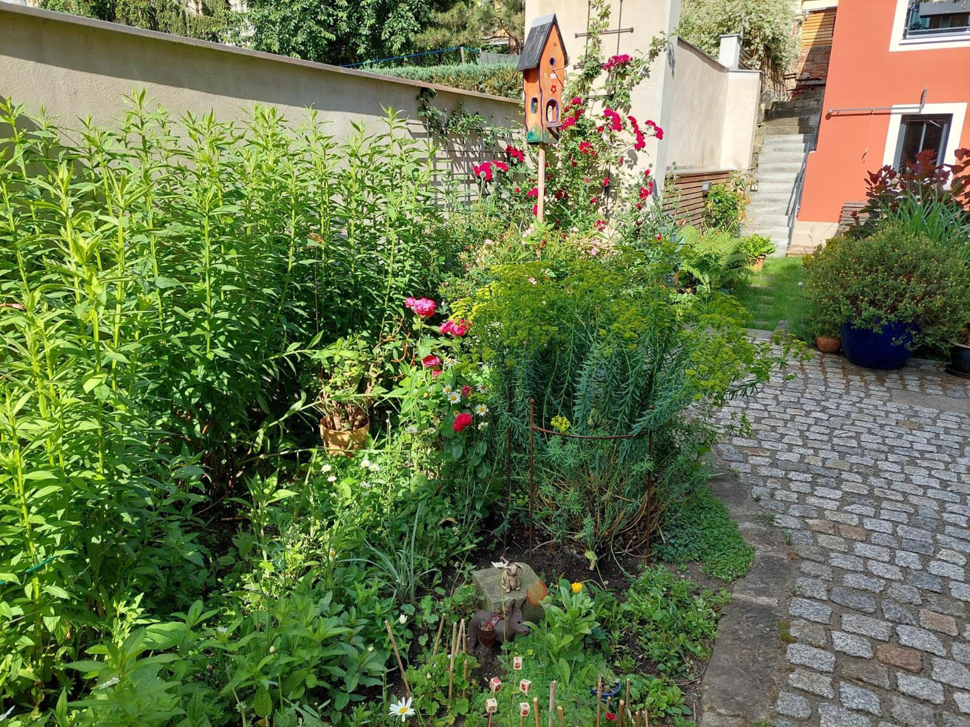 Lejlighed Dein Zuhause In Der Ferne - Der Gute Ton Dresden